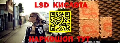 шишки Новоалександровск