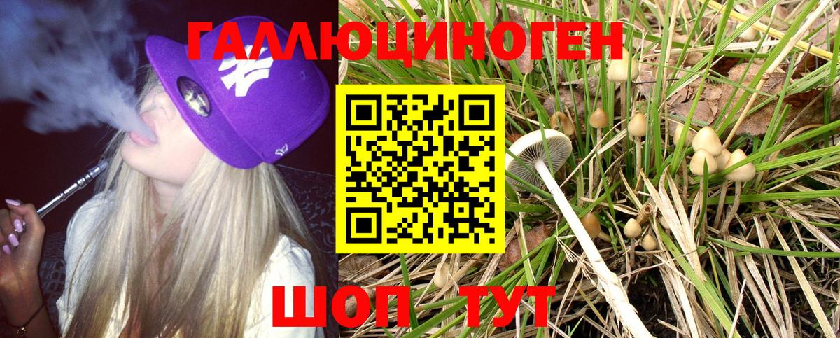 Псилоцибиновые грибы ЛСД Заволжье