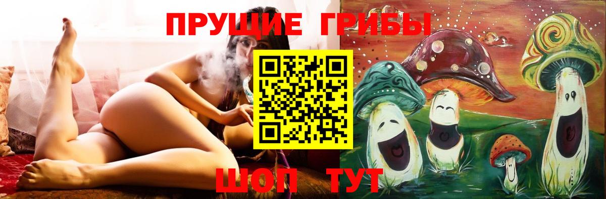 ГАШ  COCAIN  Магазин наркотиков  Меф   Бошки Шишки  Заволжье  A PVP СК кристаллы  Экстази  ГАШ  Вход с VPN  ТГК 